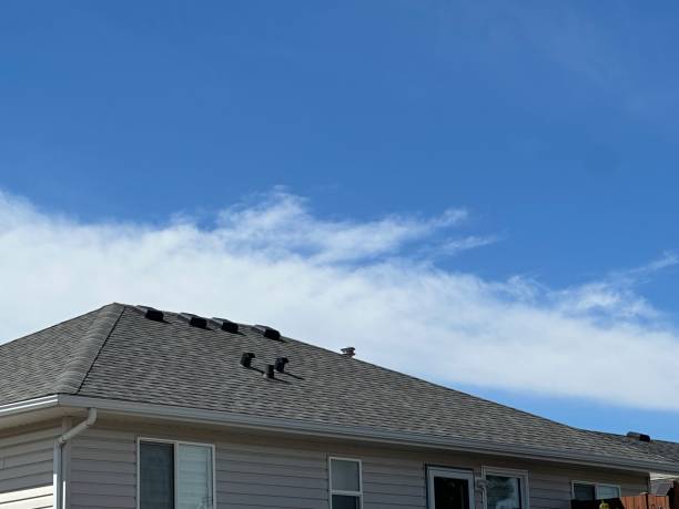 Best Emergency Roof Repair Services  in Marion, IN